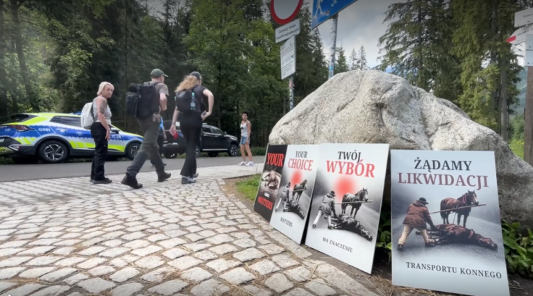Bambinizm kontra wieś. Wojna o konie pod Morskim Okiem